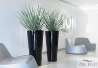 Office Plant Displays UK 662018 Image 4